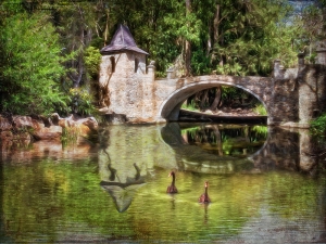 Cedar Creek Castle Reflections